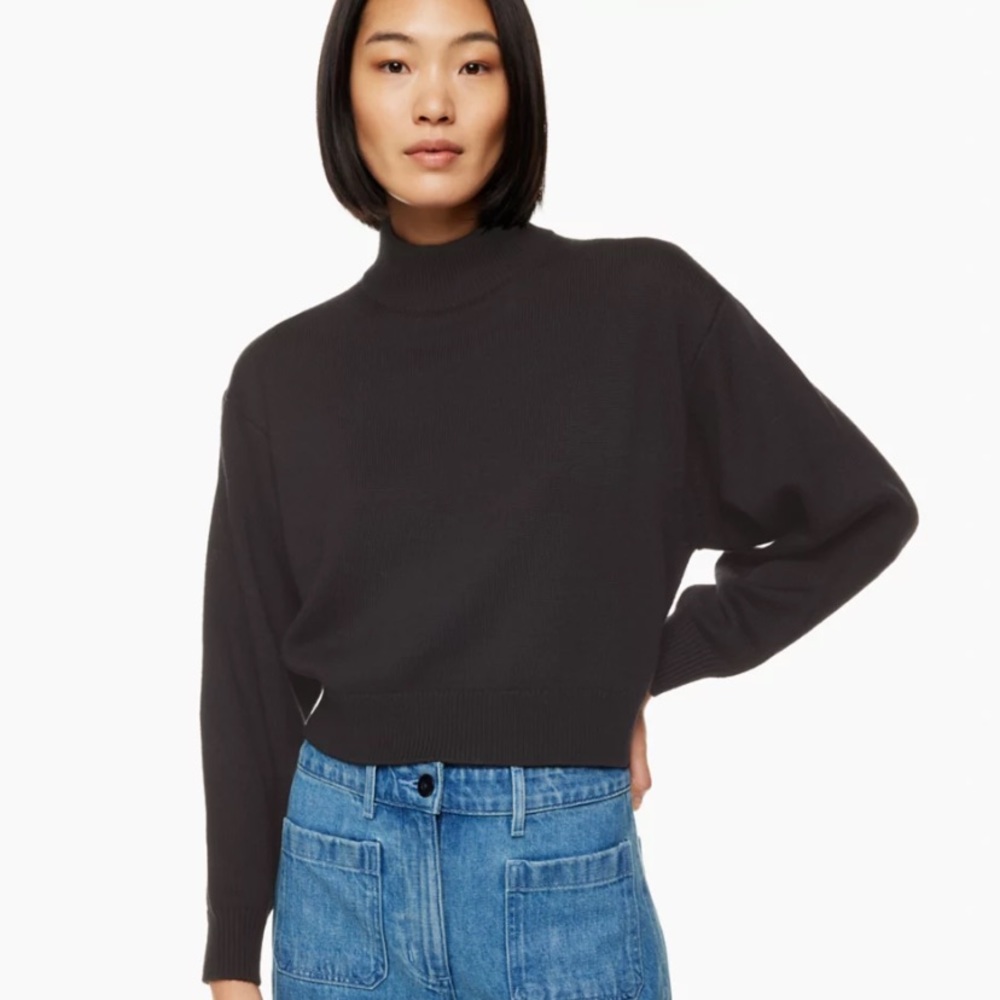 Aritzia Harper Sweater (Black)